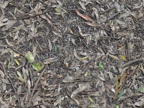  凹凸脏旧污渍地面墙面 