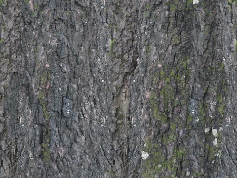  凹凸脏旧污渍地面墙面 