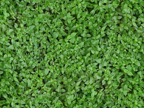  凹凸脏旧污渍地面墙面 