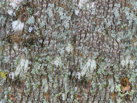  凹凸脏旧污渍地面墙面 