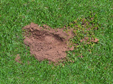  凹凸脏旧污渍地面墙面 