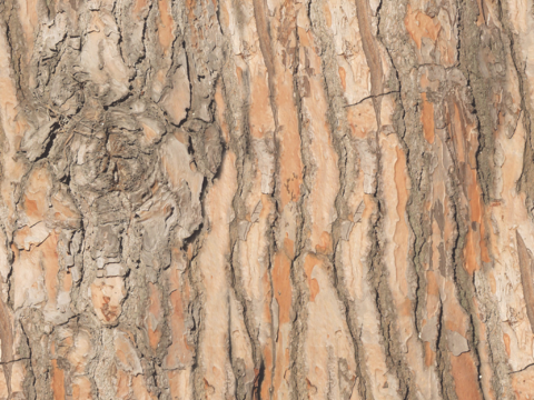  凹凸脏旧污渍地面墙面 