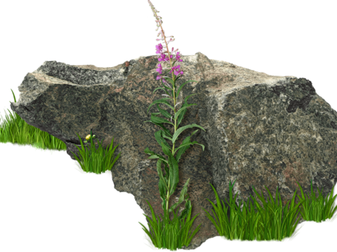  免扣素材 石头假山 