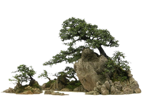  免扣素材 石头假山 