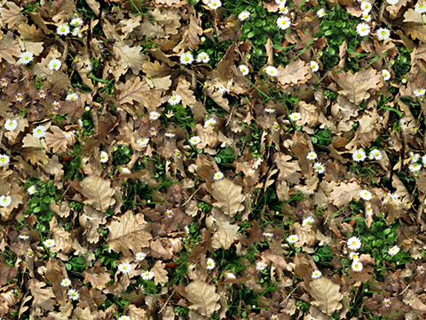  无缝枯枝落叶草皮草地草坪地面 