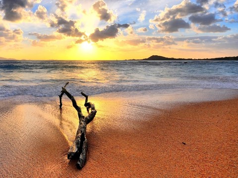  藍天大海 