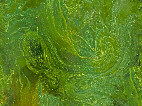  凹凸脏旧污渍地面墙面 