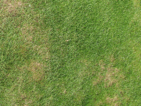  真实室外场景草坪 