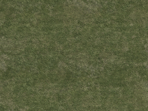  高清草坪 草皮地面 草地 植物 草丛灌木绿植地面 