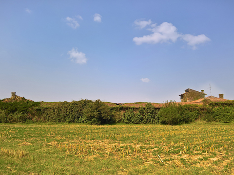  乡村景观风景 