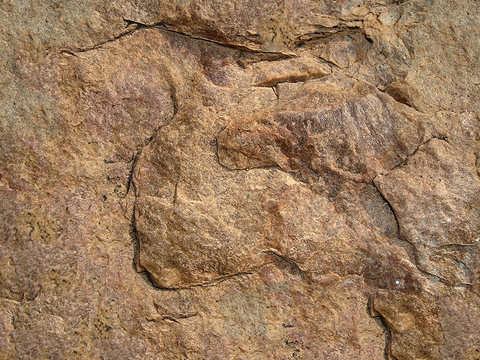  无缝黄色文化石墙岩石材墙面 