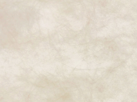  高清米白色杜邦纸 