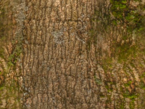  凹凸脏旧污渍地面墙面 