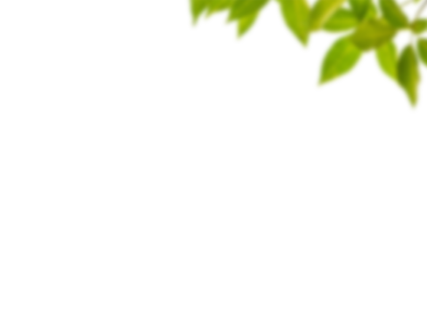  免扣素材 常绿乔木 装饰树叶 