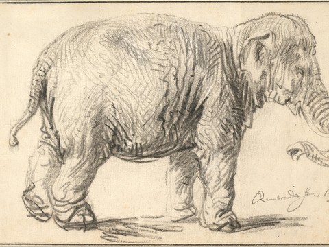  世界级大师作品 素描 绘画作品 