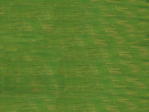  农田农场草地草坪俯视图 