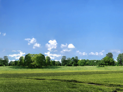  白天户外自然外景贴图 