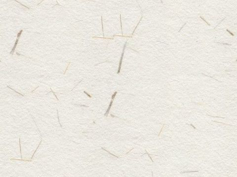  無縫駝色淺咖色肌理漆藝術(shù)涂料稻草漆貼圖8 