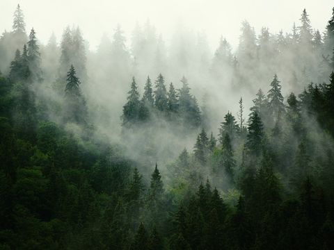  云霧森林外景_山水風(fēng)景中式外景_山區(qū)云霧外景貼圖 