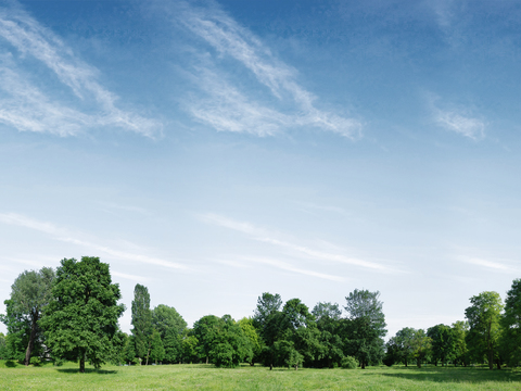  草地白天外景贴图 