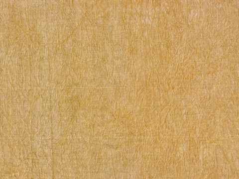  现代中式橙色布纹纺织品布纹 