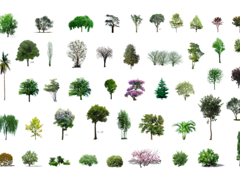  PNG免抠树木配景景观树丛常用树 