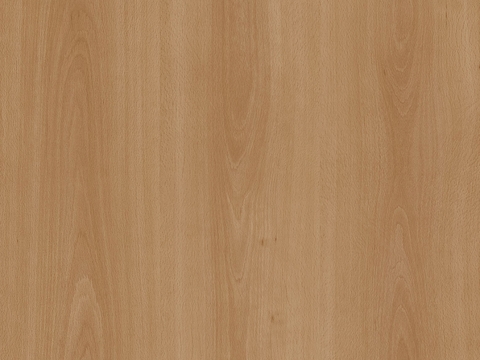 浅色木纹 木饰面