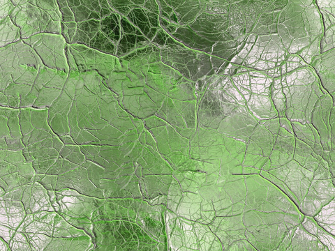  叶脉纹路艺术玻璃贴图 