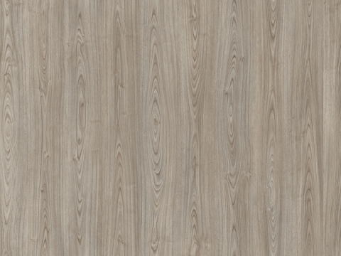 浅色木纹 木饰面