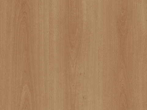 浅色木纹 木饰面
