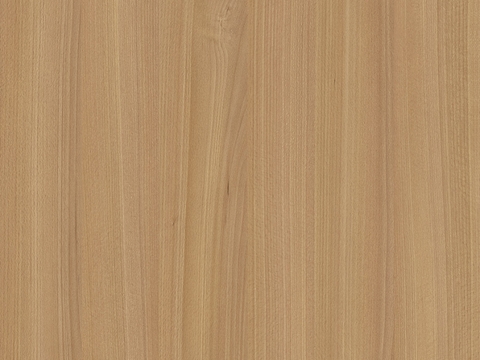 浅色木纹 木饰面