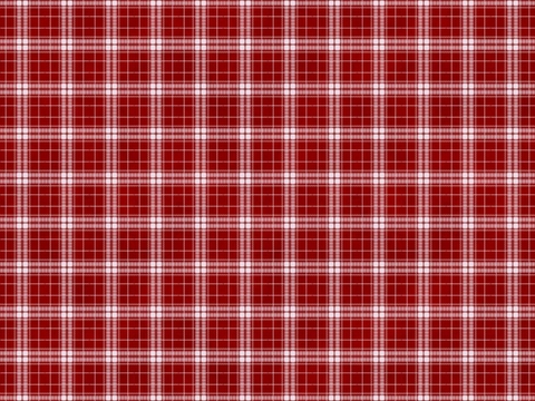  红色格子布纹 