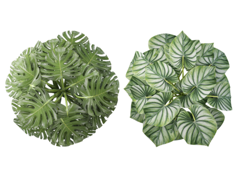  免抠彩平庭院真实平面树 