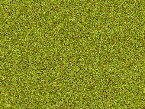  自然草坪草地草皮 