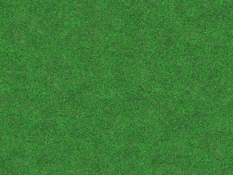  绿色草坪草地草皮地面 