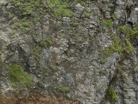  室外自然青石苔藓石材贴图 