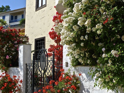  欧洲乡村风景 欧洲建筑别墅图 