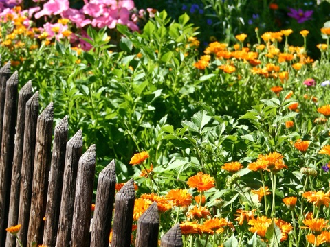  欧洲乡村风景 欧洲建筑别墅图 