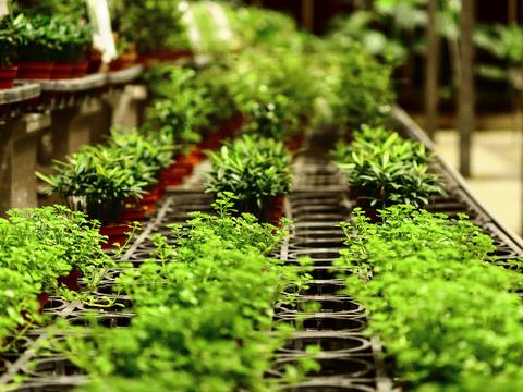  欧洲乡村风景 欧洲建筑别墅图 