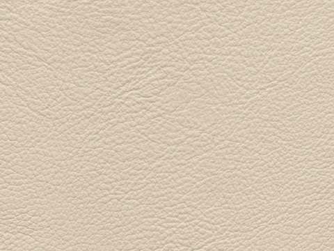  皮革贴图 