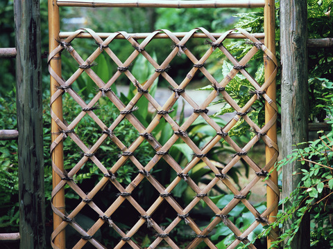  欧洲乡村风景 欧洲建筑别墅图 