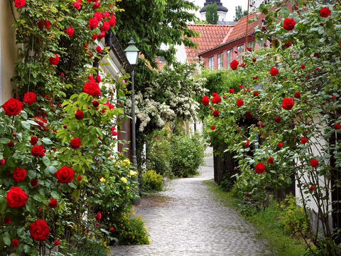  欧洲乡村风景 欧洲建筑别墅图 
