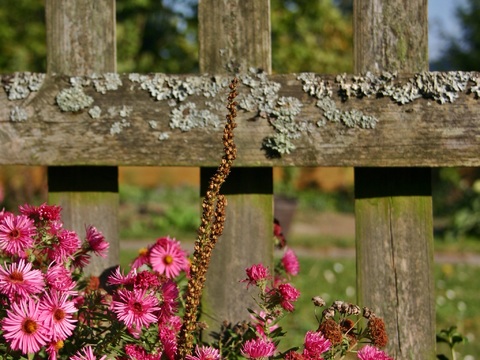  欧洲乡村风景 欧洲建筑别墅图 