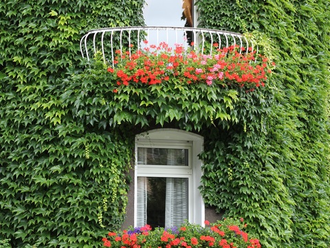  欧洲乡村风景 欧洲建筑别墅图 