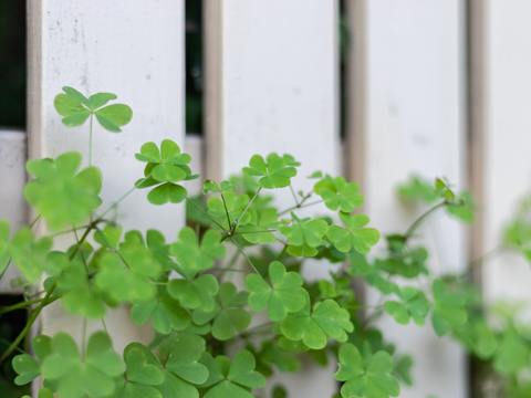  欧洲乡村风景 欧洲建筑别墅图 