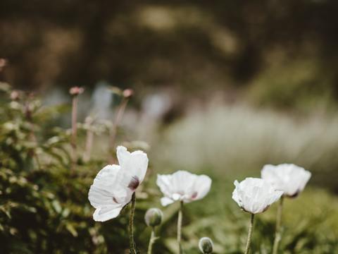 欧洲乡村风景 欧洲建筑别墅图 
