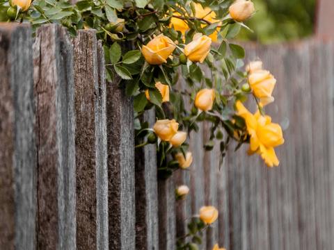  欧洲乡村风景 欧洲建筑别墅图 