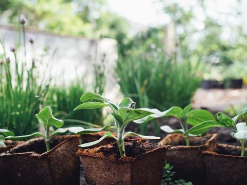  欧洲乡村风景 欧洲建筑别墅图 