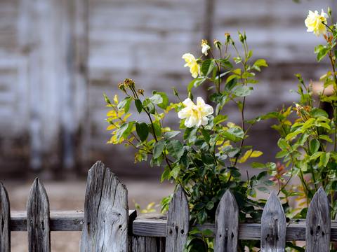  欧洲乡村风景 欧洲建筑别墅图 