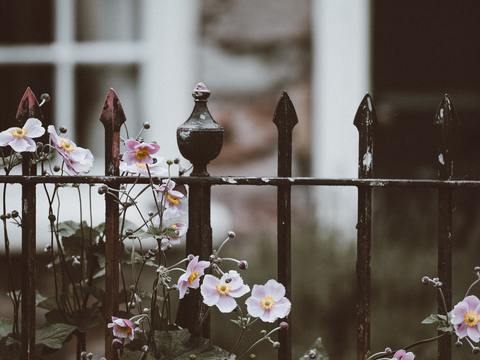  欧洲乡村风景 欧洲建筑别墅图 